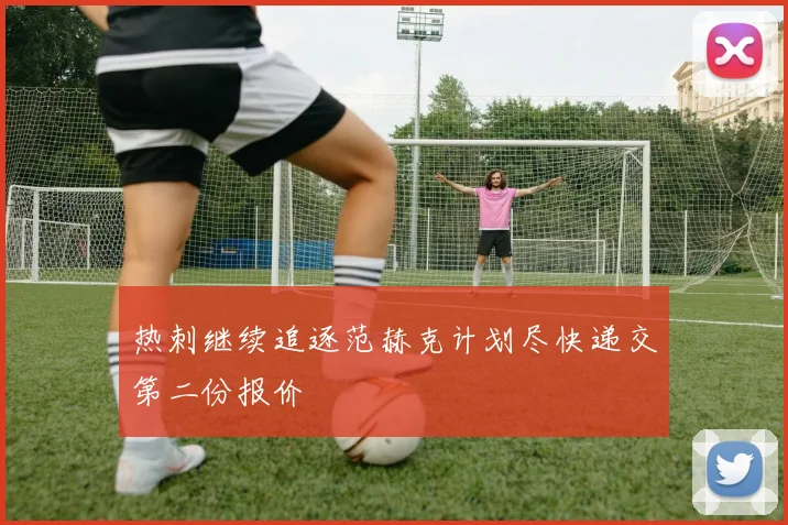 热刺继续追逐范赫克计划尽快递交第二份报价