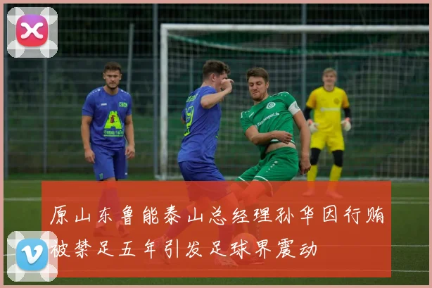 原山东鲁能泰山总经理孙华因行贿被禁足五年引发足球界震动