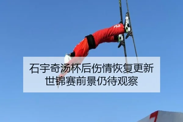 石宇奇汤杯后伤情恢复更新 世锦赛前景仍待观察（huobosports）